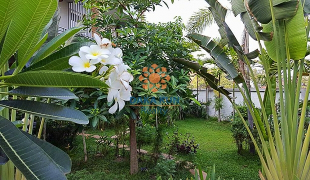 Boutique for Sale in Svay Dangkum, Siem Reap