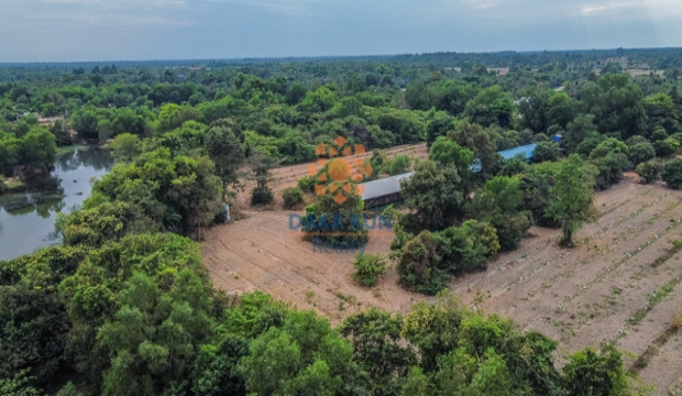 Land 4.9 Hec for Sale in Siem Reap