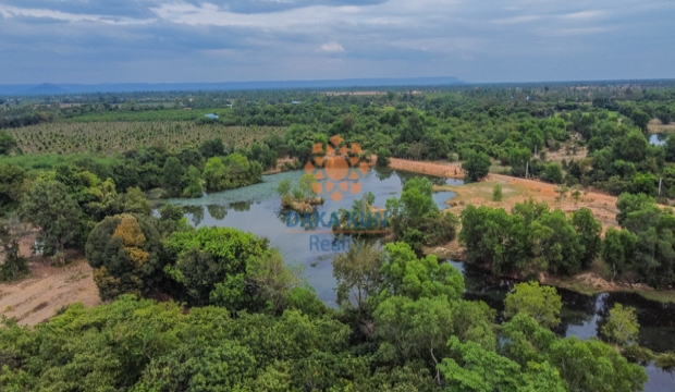 Land 4.9 Hec for Sale in Siem Reap