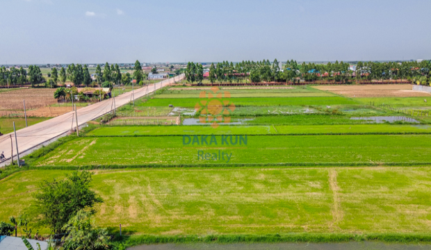 Land for Sale in Siem Reap - Chreav