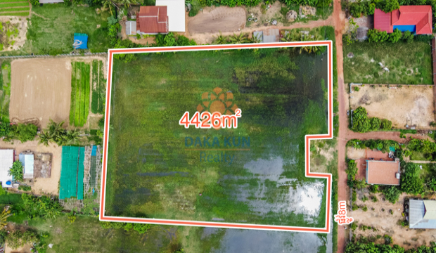 Land for Sale in Siem Reap - Veal Village