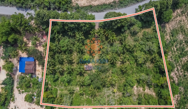 Urgent Sale, Framland for Sale on Main Road 40 meters in Siem Reap