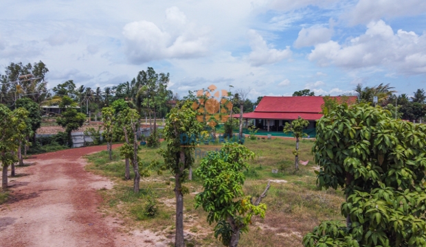 Land for Sale in Krabei Riel, Siem Reap