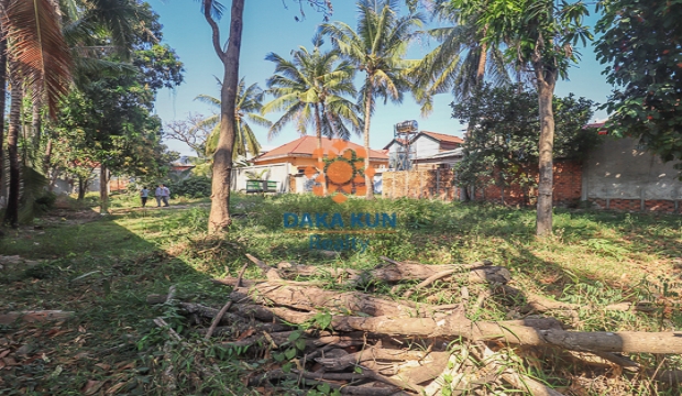 Urgent Sale Land near Sala Kamreuk-Siem Reap