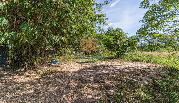 Land for Sale in Krong Siem Reap