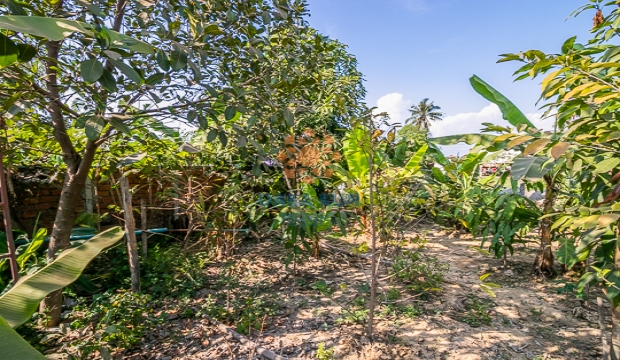 Land and House for Sale in Siem Reap - Chreav