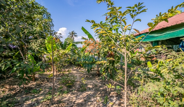 Land and House for Sale in Siem Reap - Chreav