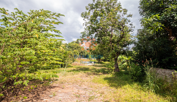 Land for Rent in Siem Reap city-Sala Kamreuk