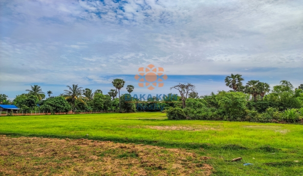 Urgent Sale Land in Siem Reap