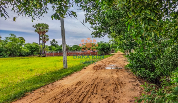 Urgent Sale Land in Siem Reap