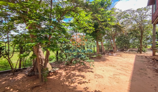 Land for Sale in Siem Reap