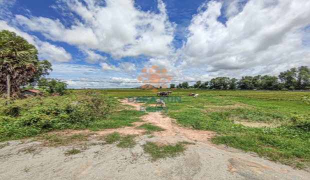 2 Hectares Land for Sale in Siem Reap