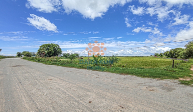 2 Hectares Land for Sale in Siem Reap