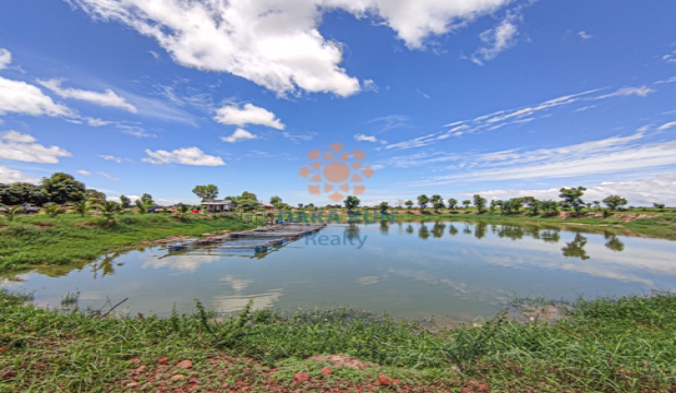 8 Hectare Land for Sale in Siem Reap