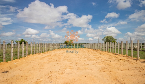 Land for Sale in Krabei Riel, Siem Reap