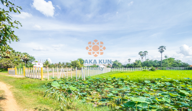 Land for Sale in Krong Siem Reap-Svay Dangkum