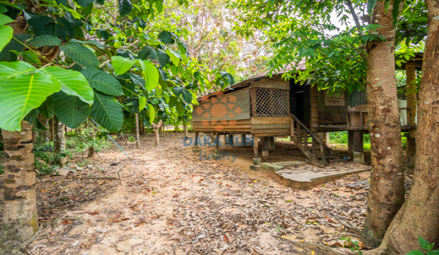 Land for Sale in Krong Siem Reap