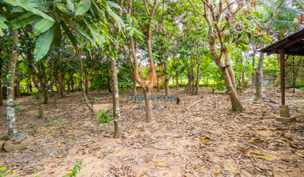 Land for Sale in Krong Siem Reap