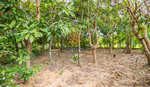 Land for Sale in Krong Siem Reap