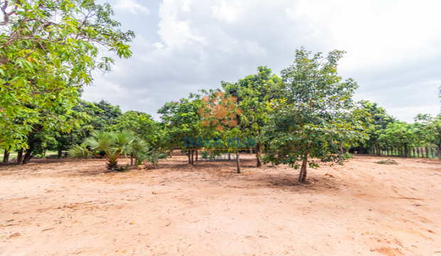 Land for Sale in Krong Siem Reap-near Sok San Rd