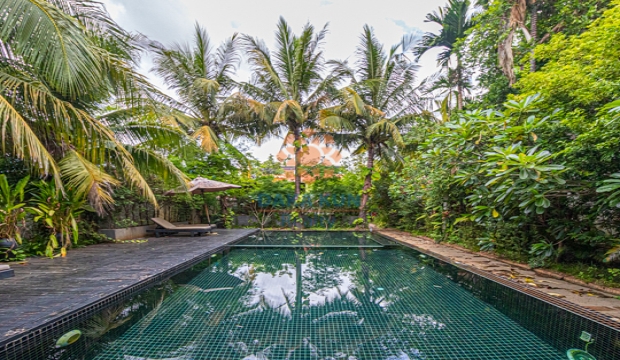 1 Bedroom Apartment for Rent with Swimming Pool in Siem Reap