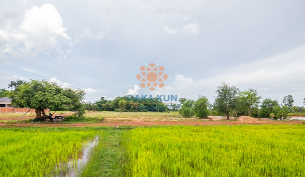 Land for Sale in Siem Reap-Sambuor