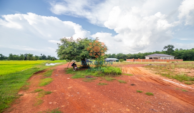 Land for Sale in Siem Reap-Sambuor