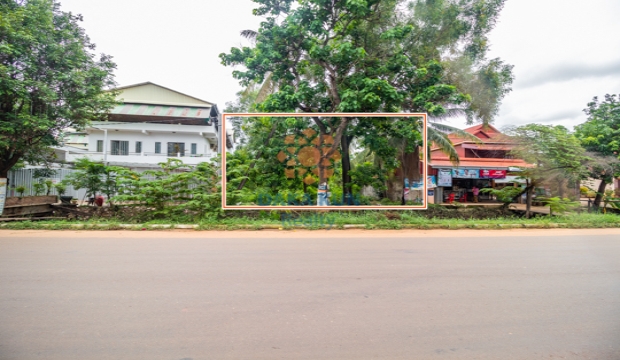 Urgent Sale Land near Sala Kamreuk-Siem Reap