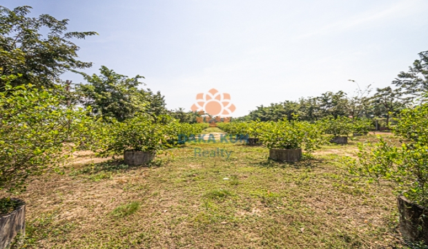 Land for Sale in Siem Reap-Krabei Riel