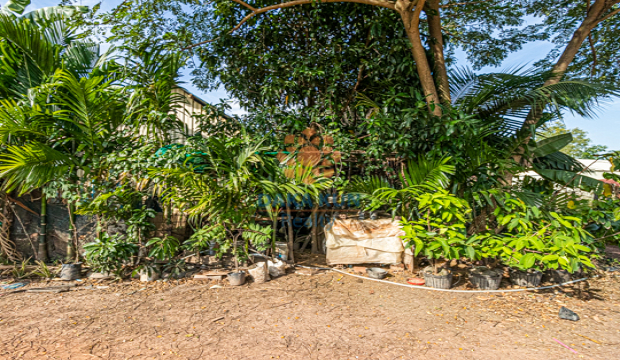 Land for Sale in Siem Reap-Sambuor