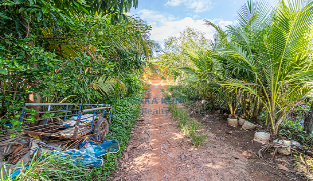 Land for Sale in Siem Reap-Sambuor