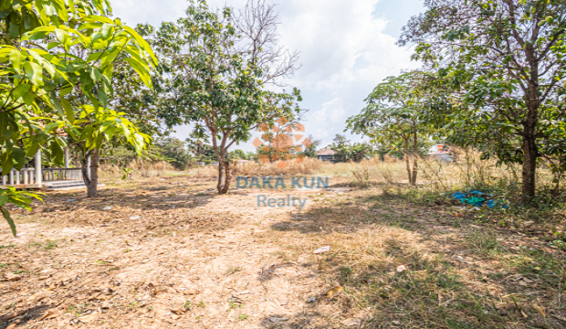 Land for Rent in Krong Siem Reap-Svay Dangkum