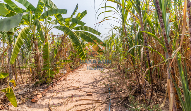 Land for Sale in Krong Siem Reap-Svay Dangkum