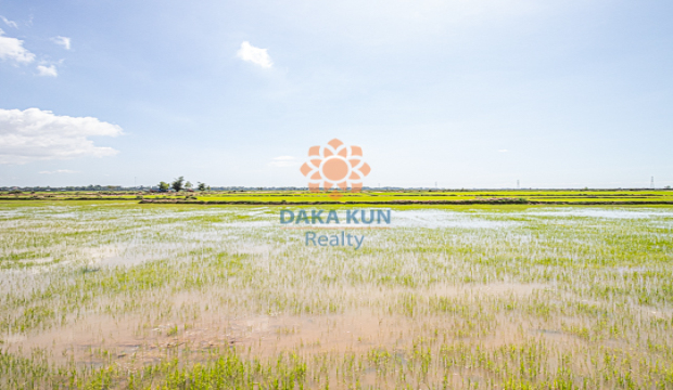 Land for Sale in Krong Siem Reap-Krabei Riel