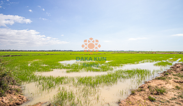 Land for Sale in Krong Siem Reap-Krabei Riel