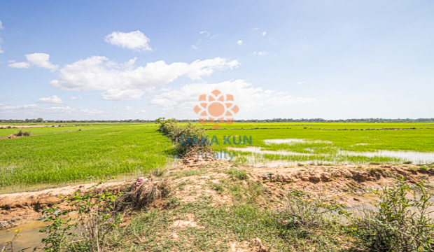 Land for Sale in Krong Siem Reap-Krabei Riel