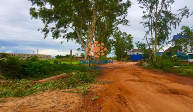 Urgent Sale land in Siem Reap