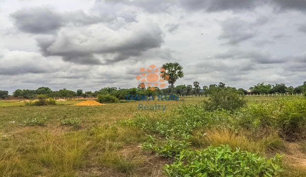 Urgent Sale, Land in Siem Reap