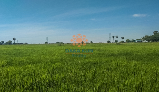 Urgent Sale, Land in Siem Reap