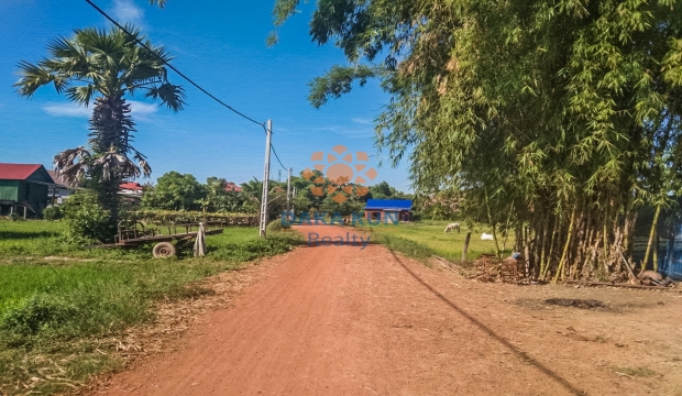 Urgent Sale, Land in Siem Reap