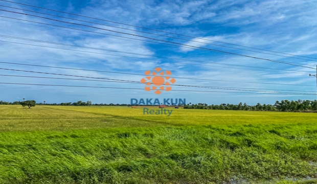 land for Sale in Siem Reap-Puok