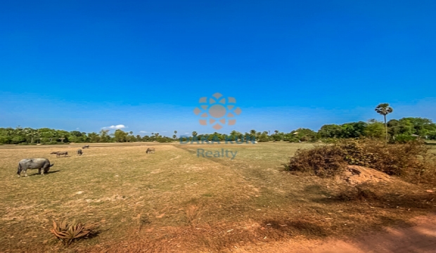 Land for Sale in Siem Reap city-Takong Village