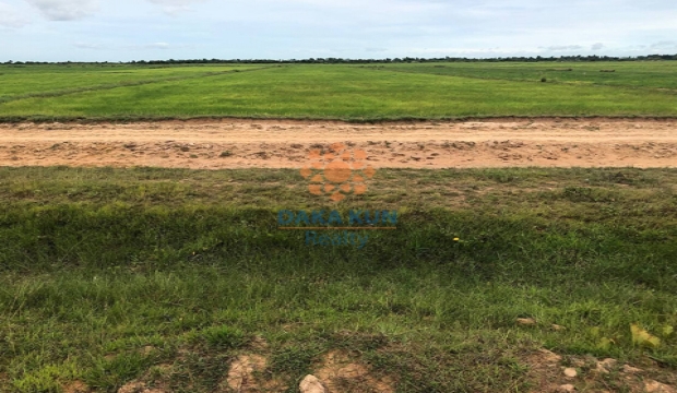 Land for Sale near Puok, Siem Reap