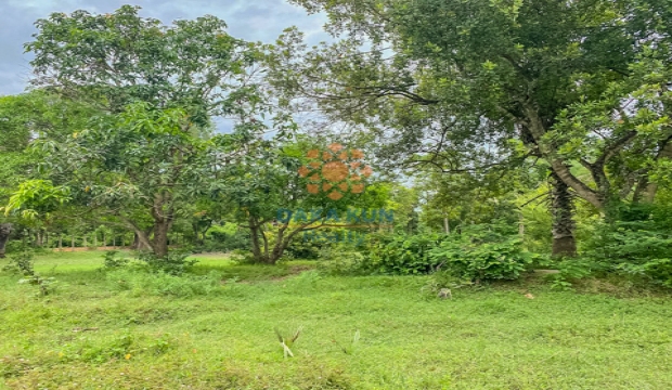 Land for Sale on Road 22 meters, Siem Reap