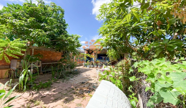 House for sale in Siem Reap-Svay Dangkum