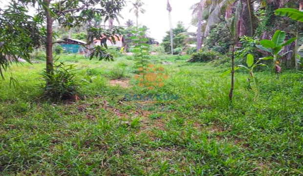 Land for Sale in Siem Reap-Riverside