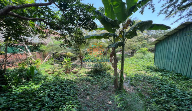 Land for Sale in Krong Siem Reap-near Tmor Meas Rd