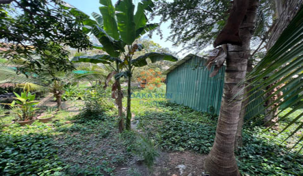 Land for Sale in Krong Siem Reap-near Tmor Meas Rd