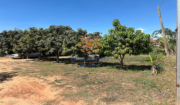 Land for Sale in Siem Reap city-Chreav