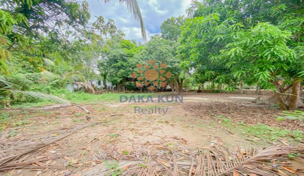 Land For Sale in Siem Reap City-Svay Dangkum